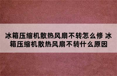 冰箱压缩机散热风扇不转怎么修 冰箱压缩机散热风扇不转什么原因